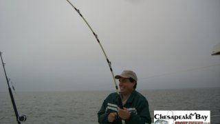 Chesapeake Bay Action Shots 2 #23
