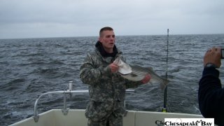 Chesapeake Bay Nice Rockfish 3 #27