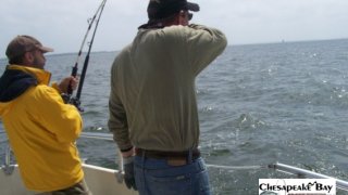 Chesapeake Bay Action Shots #23