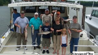 Chesapeake Bay Groups #2
