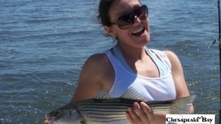 Chesapeake Bay Nice Rockfish 2 #43