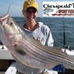 Chesapeake Bay Trophy Rockfish Album Cover